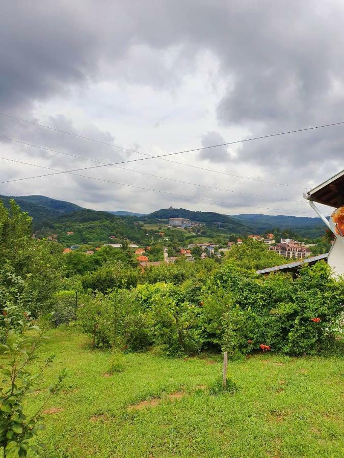 Apartmani Radakovic Vrdnik Buitenkant foto